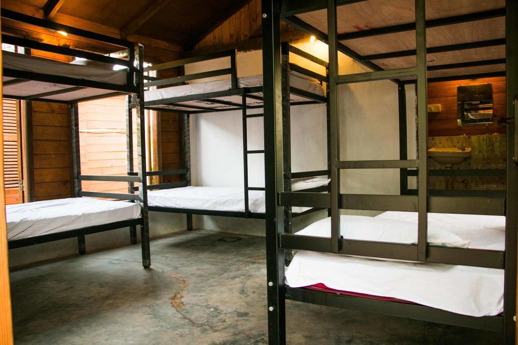 Wonderland Hostel Анджуна Стая снимка